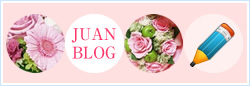 JUAN BLOG